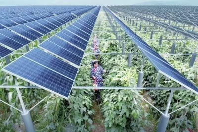 四川祥鋒瑞建設工程